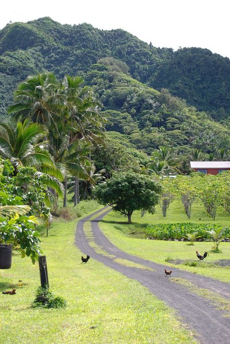 Rarotonga Cook Islands, Cook Island, South Pacific Islands, Side Road, Island Destinations, Pacific Islands, Desert Island, Travel Humor, Island Tour