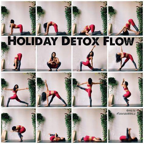 Liz Lowenstein (Liz Kong) on Instagram: “✨Holiday Detox Flow✨ . . . Merry Xmas IG fam! 🎁 Christmas is conveniently on a #TutorialTuesday so I wanted to give y’all a sequence to do…” Christmas Yoga Poses, Best Routine, Christmas Yoga, Core Yoga, Yoga Christmas, Guided Meditation Scripts, Yoga Flow Sequence, Yoga Detox, Yoga Information