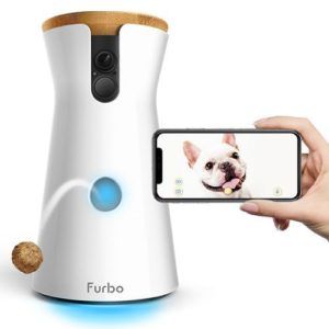 Furbo Pet Camera Speaking of cute animals, if you and your love share a pet together, then it’s important to keep that bond strong as well. A pet camera allows you (or your partner) to access a video and interact with little Fido or kitty. #TheBlossomShopFlorist Dslr Quotes, Dog Camera, Pet Cam, Dslr Photography Tips, Nanny Cam, Nikon D5200, Pet Camera, Camera Dslr, Nikon D7000