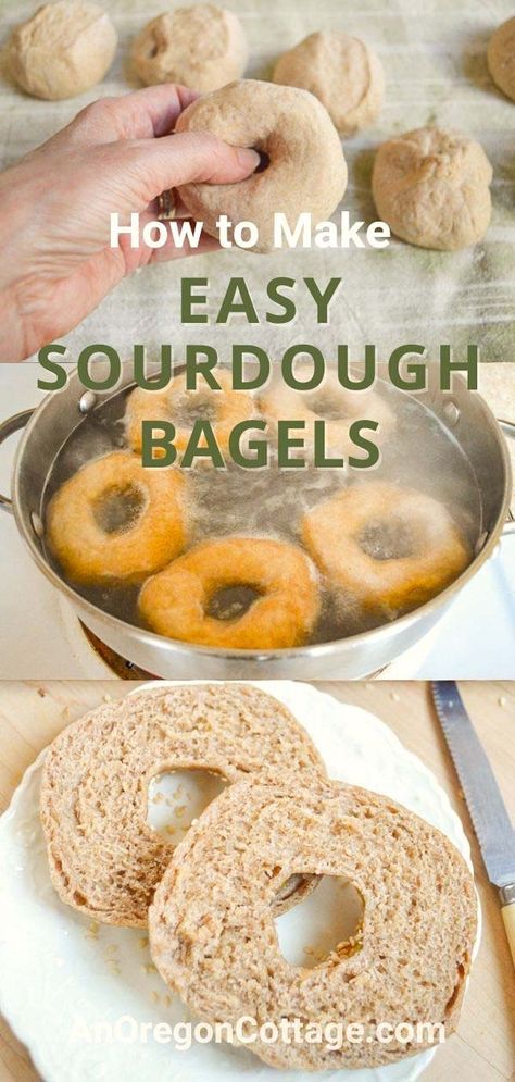 Want to make something fun and unique with your sourdough starter? Try bagels! You can be eating cream cheese on your own homemade bagels with this easy recipe that takes you through every step. Customize them with your favorite toppings and make them the size you want. Onion Bagel, Sourdough Rolls, Sourdough Bagels, Whole Wheat Crackers, Whole Wheat Sourdough, Dough Starter, Starter Recipes, Easy Sourdough, Discard Recipes