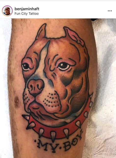 American Traditional Dog Portrait, Traditional Pitbull Tattoo, Traditional Dog Portrait Tattoo, American Bully Tattoo, Bully Tattoo, Murphy Tattoo, Traditional Dog Tattoo, Fake Skin Tattoo, Traditional Portrait