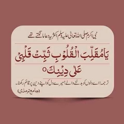 Ameen summa ameen Allah Calligraphy, Sufi Quotes, Quran Surah, Islamic Information, Urdu Words, Prayer Verses, Words Worth, Islamic Phrases, Aesthetic Words