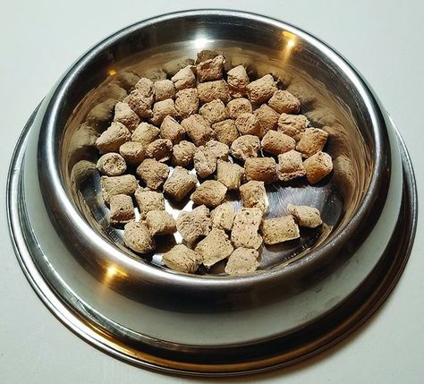 Freeze Dried Dog Treats, Dog Journal, Freeze Dried Dog Food, Diy Dog Food, Dog Foods, Great Danes, Great Dane Puppy, Raw Dog Food Recipes, Dane Dog