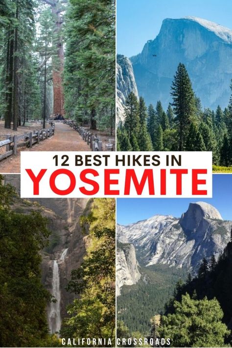 photos of different hikes in Yosemite valley with the text '12 best hikes in yosemite' Yosemite National Park Hiking, Hiking Yosemite, Hiking In Yosemite National Park, One Day In Yosemite National Park, Yosemite National Park In April, Best Hikes In Yosemite National Park, Yosemite National Park Map, Yosemite Vacation, Yosemite Sequoia