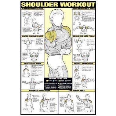 Shoulder Workout 24" X 36" Laminated Vertical Aquaponics, Arm Training, Fitness Studio Training, Trening Sztuk Walki, Sosua, Gym Antrenmanları, Muscle Abdominal, Training Fitness Gym, Fitness Routines