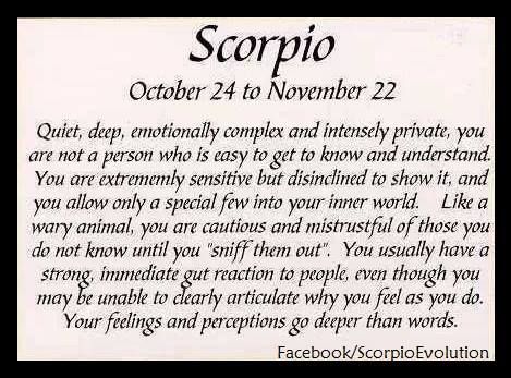 #Scorpio #Zodiac #Astrology For more Scorpio related posts, please follow my FB page, #ScorpioEvolution: https://www.facebook.com/ScorpioEvolution Scorpion Facts, Being Quiet, All About Scorpio, Scorpio Traits, Scorpio Girl, Best Zodiac Sign, Scorpio Quotes, Zodiac Signs Scorpio, Scorpio Season