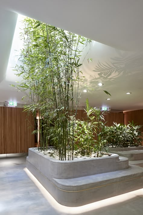 Rise by Studio PP - 101 Collins St - Silver Winner - MELBOURNE Design Awards 2020 Front Yards Curb Appeal, Best Front Doors, Office Interior Design Modern, Flower Pot Design, Front Yard Design, Mix Use Building, Dry Garden, Foyer Design, Spa Room