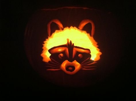 Racoon Pumpkin Carving, Raccoon Pumpkin Carving, Pumpkin Stencil, Pumpkin Ideas, Racoon, Fall Aesthetic, A Pumpkin, Halloween Diy, Pumpkin Carving