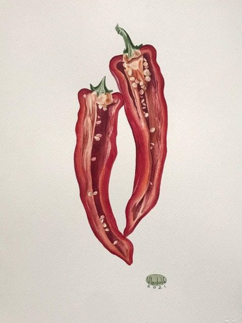 Chili Pepper Drawing, Culinary Tattoos, Coral Print, Food Drawing, Unique Tattoos, Botanical Illustration, Journal Inspiration, Food Art, Chili