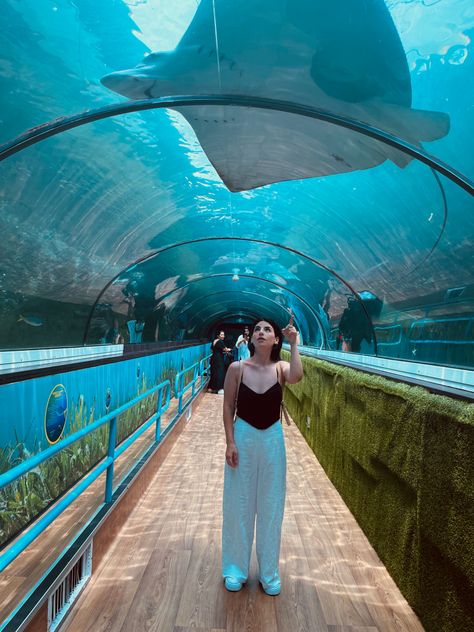 Sydney Aquarium Australia, Sydney Australia Travel Aesthetic, Sydney Photo Ideas, Living In Australia Aesthetic, Sydney Australia Aesthetic, Explorer Aesthetic, Sydney Aesthetic, Australia Lifestyle, Sydney Australia Travel