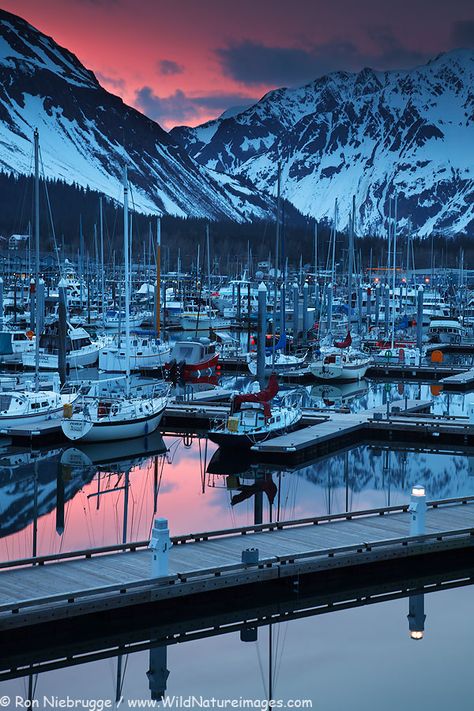 Sunrise over the Seward boat harbor Alaska Juneau, Boat Harbour, Alaska Photography, Seward Alaska, Amazing Places To Visit, Visit Alaska, Alaska Vacation, Alaska Usa, Juneau Alaska