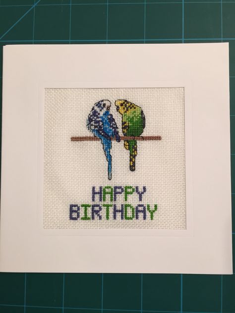 Budgie cross stitch birthday card Stitch Birthday Card, Cross Stitch Birthday, Stitch Birthday, Budgie Parakeet, Stitching Ideas, Cross Stitch Bird, Cross Stitch Bookmarks, Cross Stitching, Beautiful Creatures