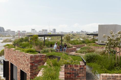 Gallery of Arkadia / DKO Architecture + Breathe Architecture - 12 Roof Gardens, Residential Building Design, Roof Architecture, Brick Architecture, Garden Architecture, Architecture Awards, Rooftop Garden, Brick Building, Roof Garden