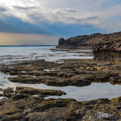 Black Bird Tattoo, Rocky Shore, Website Backgrounds, Tide Pools, Never Grow Up, Rock Pools, Calm Water, Archipelago, Us Images