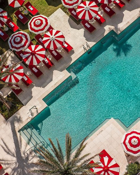 Iconic from every POV. ⁠🌹 📍 Faena Miami Beach ⁠ ⁠ Pool scenes are made serene at our legendary Faena pool. A symphony of luxury and… | Instagram Faena Miami, Faena Hotel Miami, Miami Pool, Red Hotel, Faena Hotel, Red Luxury, Volunteer Travel, Miami Hotels, Beach Events