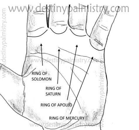 Ring of Solomon Meaning on the Palm - Destiny Palmistry Ring Of Solomon, Solomon Wisdom, Palmistry Reading, Solomons Ring, Understanding People, Rings Of Saturn, Chinese Book, I Ching, Letter X