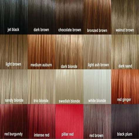 Hair Color Names, Brown Hair Shades, Plum Hair, Chocolate Brown Hair Color, Brown Hair Dye, Hair Color Chart, Chocolate Brown Hair, Curly Hair Extensions, Brown Hair With Blonde Highlights