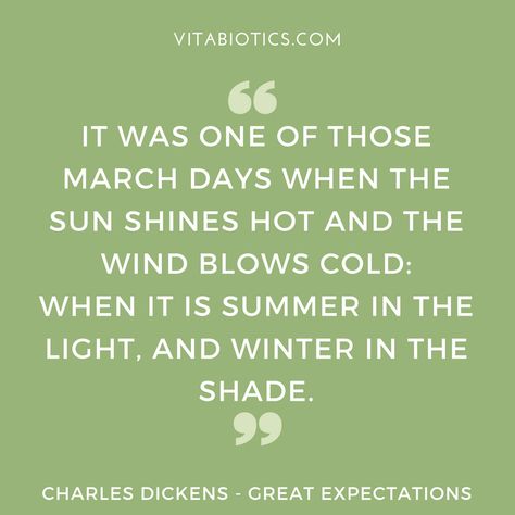 It was one of those March days when the sun shines hot and the wind blows cold: when it is summer in the light, and winter in the shade.” Charles Dickens #CharlesDickens #Vitabiotics Sunshine In Winter Quotes, Charles Dickens Quotes Love, Charles Dickens Books Aesthetic, It Was The Best Of Times Charles Dickens, The Winds Of Winter, Great Expectations, Best Motivational Quotes, Charles Dickens, Shades