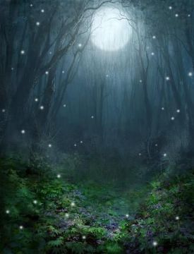 Elementalia: The Two Sides - Chapter 04 - To where my Fate leads me - Wattpad Small Lights, Forest Aesthetic, Fairy Stories, Stars In The Sky, Inspiration Tattoos, Tapeta Galaxie, Midsummer Nights Dream, Beautiful Moon, Magical Forest