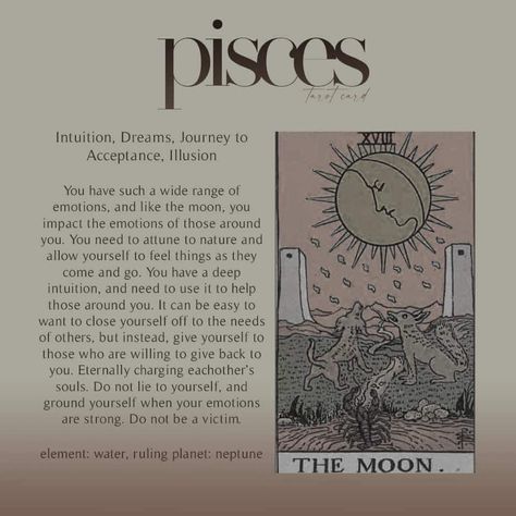 All About Pisces, Aries Zodiac Facts, Pisces Quotes, Zodiac Signs Pisces, Tarot Cards Art, Pisces Facts, Zodiac Signs Funny, Zodiac Horoscope, Pisces Zodiac