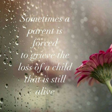 A son or daughter addicted is so devastating that it is like grieving a child that is still alive | Alive quotes, Go for it quotes, Hurt by family When Your Children Hurt You, Respect Parents Quotes, Ambiguous Loss, Daughter Sayings, Adoption Loss, Parent Alienation, Adult Children Quotes, I Miss My Daughter, Alive Quotes