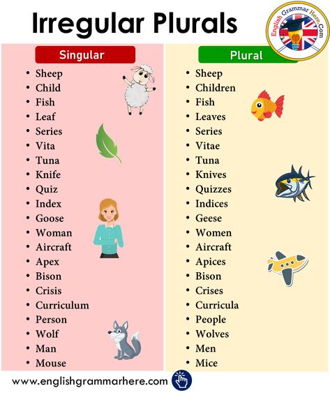 अंग्रेजी व्याकरण, Irregular Plural Nouns, Irregular Plurals, Singular And Plural Nouns, Teaching English Grammar, Singular And Plural, Plural Nouns, English Language Teaching, English Lessons For Kids