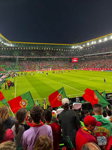 Portugal Football Team, Cr7 Portugal, Portugal National Team, Portugal Flag, Messi And Ronaldo, Europe Summer, World Of Sports, School Projects, Football Team