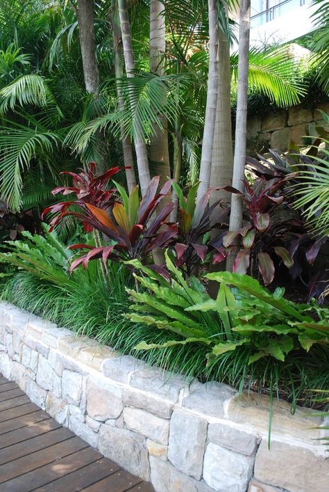 Palms surrounded by Birds Nest Fern and Cordylines Tropical Backyard Landscaping, Modern Garden Landscaping, Moderne Have, Bali Garden, Balinese Garden, Tropical Landscape Design, Landscaping Around Trees, Florida Landscaping, Tropical Garden Design