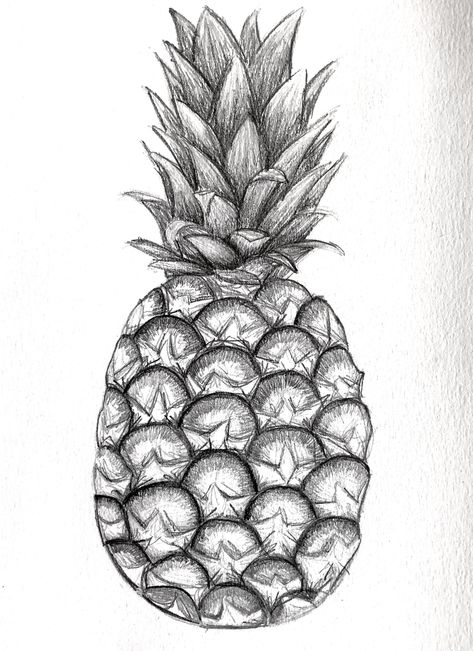 Pineapple Pencil Drawing, Sketch Of Fruits, Pineapple Drawing Realistic, Fruit Drawing Pencil Sketches Easy, Fruit Art Drawings Pencil, Fruits Drawing Pencil, Fruit Drawing Realistic, Fruit Pencil Drawing, Food Sketch Pencil