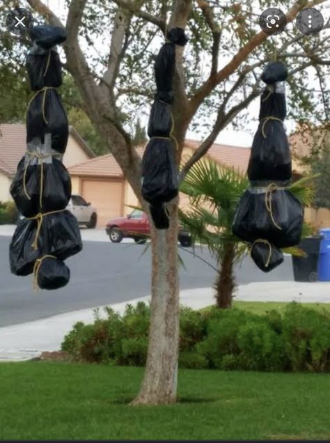 Fake Bodies Halloween, Hanging Body Bags Halloween, Hanging Body Halloween, Outside Scary Halloween Decorations, Diy Halloween Body Bags, Halloween Decorations Outside House, Halloween Decor Hanging From Tree, Halloween Body Bag Diy, Body Bag Halloween Decoration