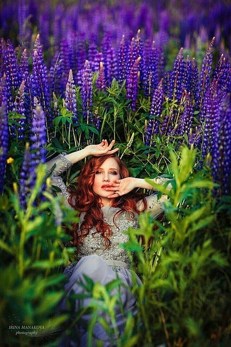 Lupine Flowers, Beautiful Pregnancy, Flower Photoshoot, Irish Art, Model Poses Photography, Lavender Fields, People Photography, Model Poses, Pregnancy Photos