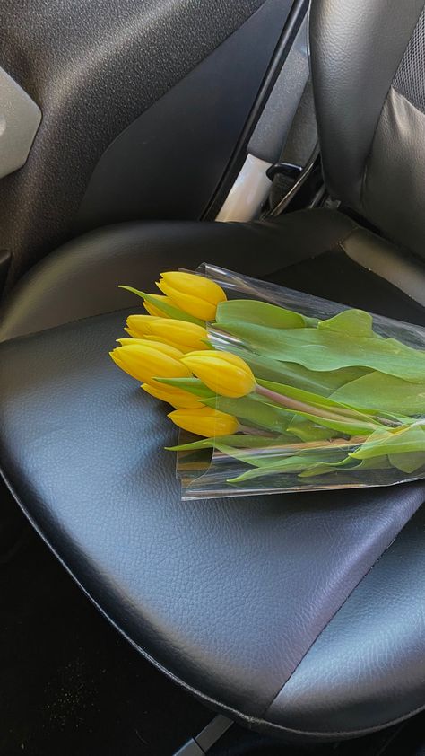 Yellow tulips on the black leather seat of a car Yellow Tulips Aesthetic, Yellow Tulips Bouquet, Tulips Aesthetic, Tulips Bouquet, Tulip Colors, Tulip Bouquet, Yellow Tulips, Flowers Photography, Tulips