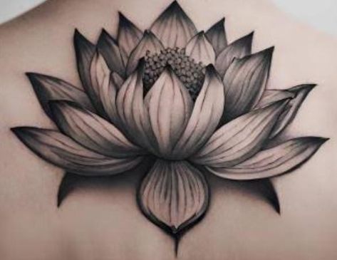 Lotus Flower Head Tattoo, Japanese Lotus Flower Tattoo Design, Lotus Tattoo Drawing, White Lotus Flower Tattoo, Recovery Tattoos, White Lotus Tattoo, Black Lotus Tattoo, Lotus Flower Tattoo Design, Lotus Tattoo Design