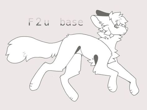 F2u Base, Wolf Base, Cat Drawing Tutorial, Warrior Cat Drawings, Warrior Cat Oc, Anime Boy Sketch, Warrior Cats Art, Cute Animal Drawings Kawaii, Cat Character