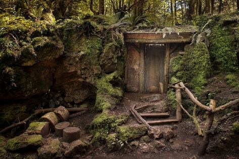 Your Secret Hideout | The Poetry Foundation Secret Hideout, Hidden Forest, Poetry Magazine, Poetry Foundation, Wood Building, Backyard Inspo, Hiding Places, Forest Art, Secret Places