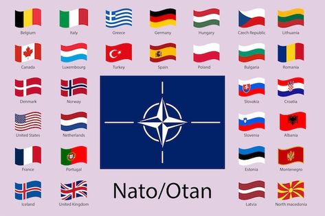 Nato flag and all the flags of the membe... | Premium Vector #Freepik #vector #flag #turkey #italy #flags Nato Flag, All The Flags, Flag Turkey, Nato Countries, Countries And Flags, Learn Computer Coding, Computer Coding, Dogwood Trees, All Flags