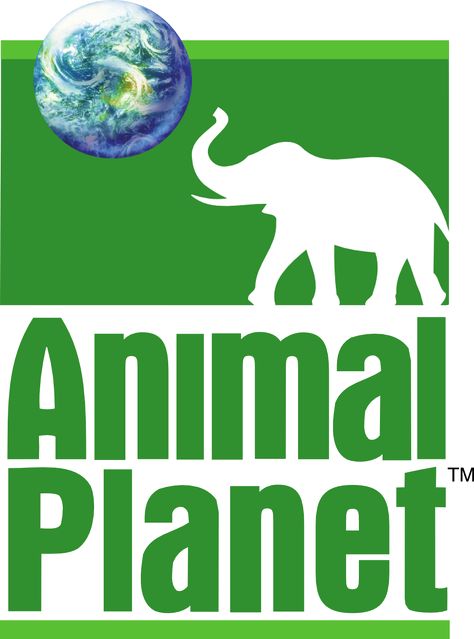 Planet Video, Planet Vector, Planet Logo, Planet Signs, Elephant Logo, White Elephant, Animal Logo, Animal Planet, Television Show