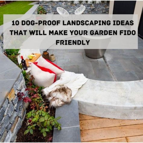 Dog Proof Landscaping, Dog Proof Backyard, Dog Proof Garden, Dog Friendly Backyard, Dog Backyard, Backyard Spaces, Wear And Tear, Landscaping Ideas, Dog Friends