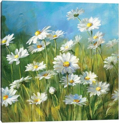 Summer Field, Daisy Field, Daisy Painting, White Daisies, Buy Art Online, Pictures To Paint, Flower Field, Trademark Fine Art, Diy Painting