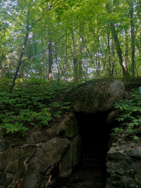 Forest Hideout Aesthetic, 13 Treasures, Secret Bunker, Secret Passage, Secret Passages, Oc Board, Dark Woods, Urban Exploring, Secret Forest