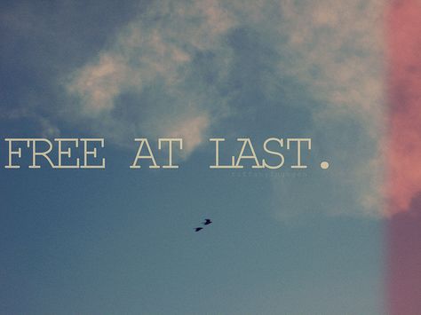 Feeling Free Quotes, Quotes Freedom, Free At Last, Bird Quotes, Freedom Quotes, Freedom Life, Life Is A Journey, Work Quotes, At Last