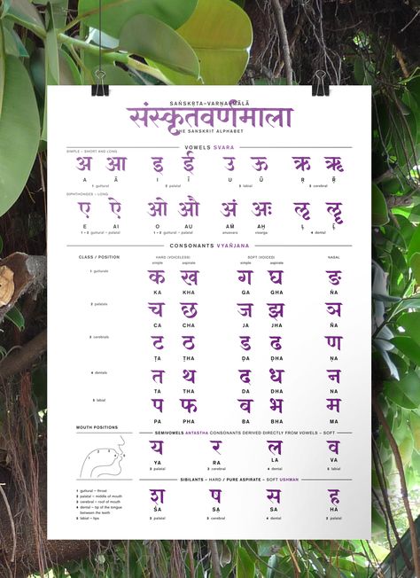 Sanskrit Alphabet Poster on Behance Sanskrit Alphabet, Philosophy Teacher, Sanskrit Grammar, Teaching Verbs, Hindi Alphabet, Sanskrit Language, Hindi Language Learning, Learn Hindi, Hindi Worksheets