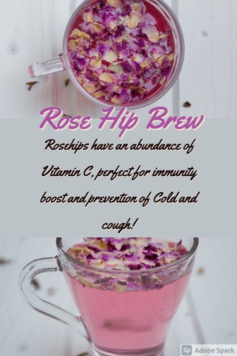 Healing Tea Recipes, Sore Throat Tea, Cold People, Tea For Colds, Rosehip Tea, Herbal Tea Benefits, Herbal Remedies Recipes, Wild Food Foraging, Healing Tea