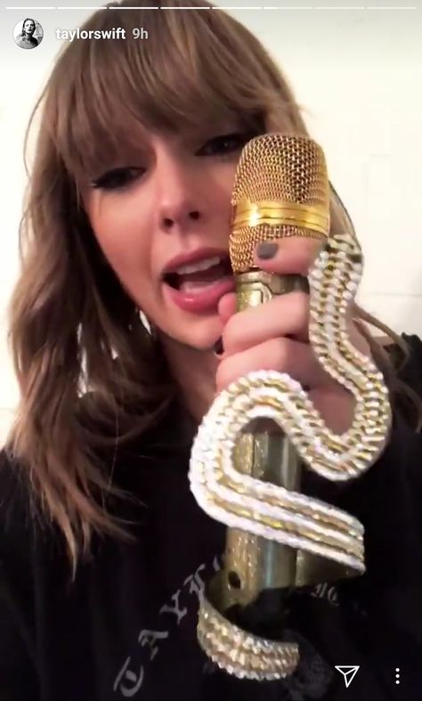 Snake microphone Snake Microphone, Taylor Swift Snake, Crystal Microphone, Reputation Era, Taylor Alison Swift, Microphones, Style Outfits, Pink Crystal, Pop Star