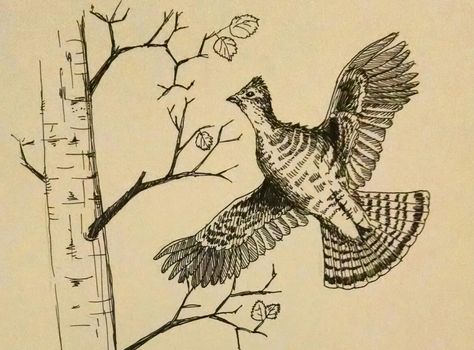 Grouse Tattoo, Art Ideas Animals, Black Bear Tattoo, Ruffed Grouse, Carving Templates, Spaniel Art, Wood Burning Ideas, Bear Tattoo, Wood Burning Crafts