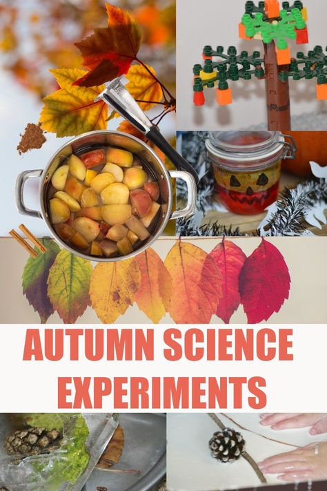 Awesome autumn science experiments for kids -  pumpkin science, trees, leaves and more easy autumn science for kids #autumnscience #fallscience #scienceforkids #seasonsactivities Fall Science Experiments, Awesome Science Experiments, Fall Science Activities, Fall Science, Cool Science, Science Experiments For Kids, Preschool Science Activities, Fall Lessons, Experiments For Kids