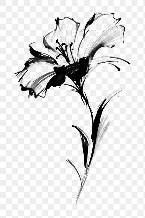 Flower Drawing Sketch, Drawing Floral, Png Flower, Drawing Wallpaper, Flower Sketches, Plant Drawing, Tshirt Ideas, Black Flower, Drawing Sketch