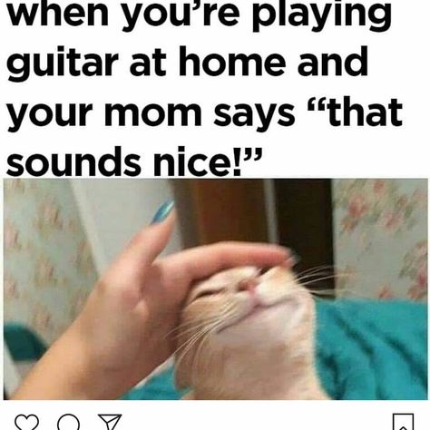 Life Without Parents, Musician Memes, Musician Jokes, Dark Funny, Musician Humor, Band Jokes, Music Jokes, Morning Funny, Band Humor