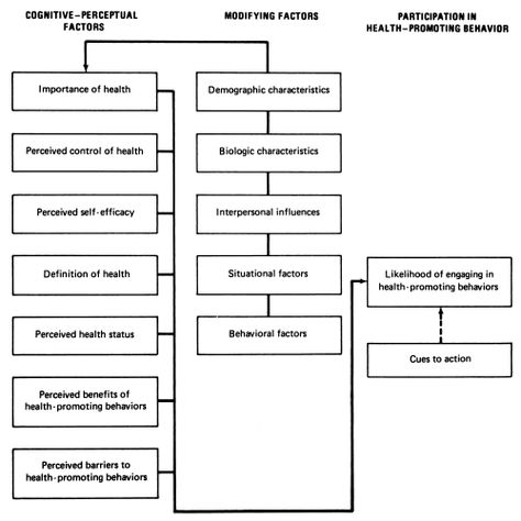 Health Belief Model, Definition Of Health, Health Promotion, Public Health, At Home Workouts, Nursing, Promotion, Medicine, Health