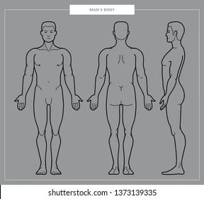 Vector llustration of men's body and male anatomy. Front, back and side view. Outline Vector Illustration - Vector Front Side Back View Character Base, Body Outline, Models To Draw, Cartoon Body, Skeleton Illustration, Body Sketches, Art Studio At Home, Character Base, Body Reference